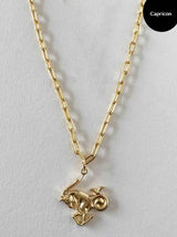 Tipsyfly Capricorn Zodiac Layered Chain Necklace - Tipsyfly